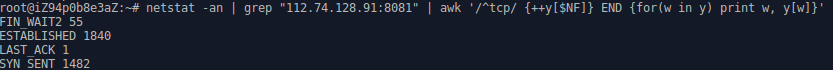 netstat_look
