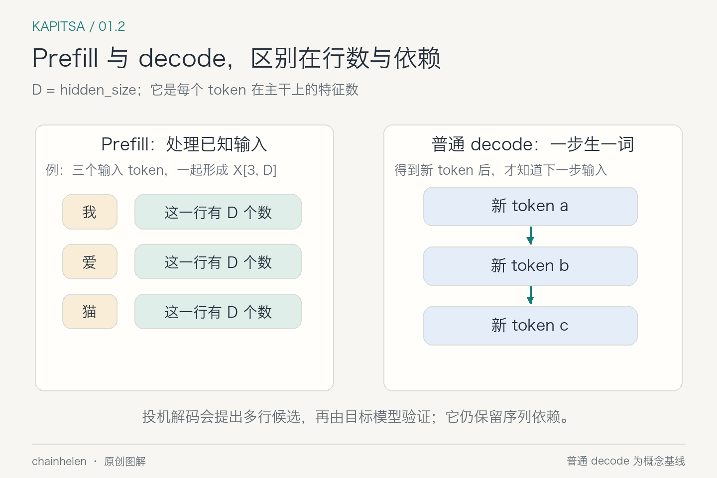 Prefill 把已知 token 作为多行输入,普通 decode 依次生成新 token;D 始终表示每个 token 的主干特征数。